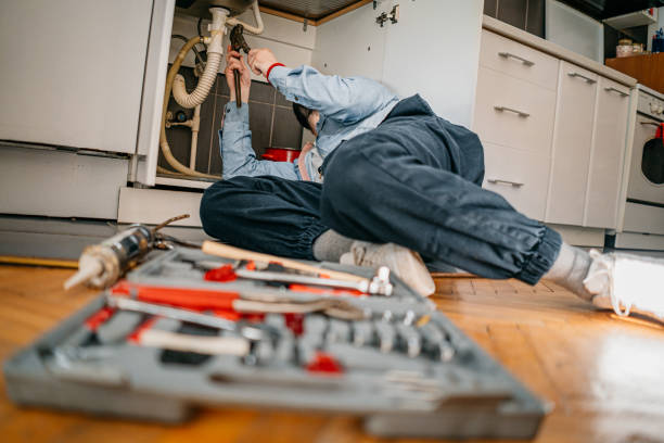 Best Plumbing Inspection Services  in Fyffe, AL
