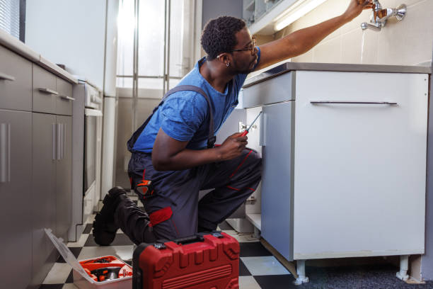 Best Septic Systems  in Fyffe, AL